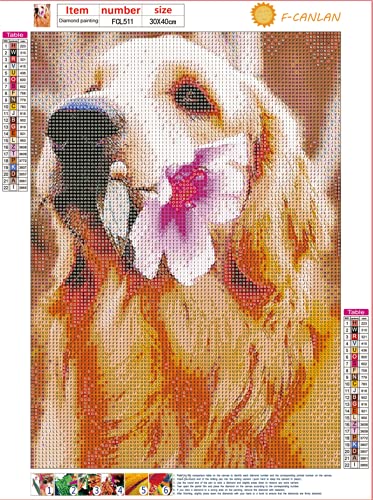 Dog Golden Retriever | Diamond Painting