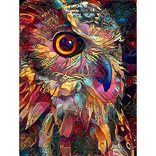 Owl | Diamond Painting