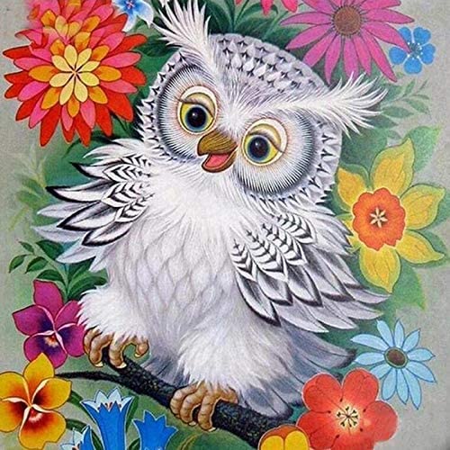 White Owl | Diamond Painting