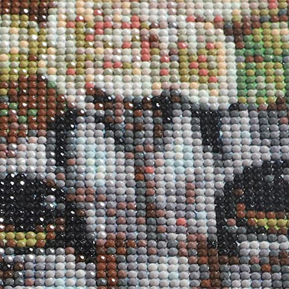 Maine Coon Cat | Diamond Painting