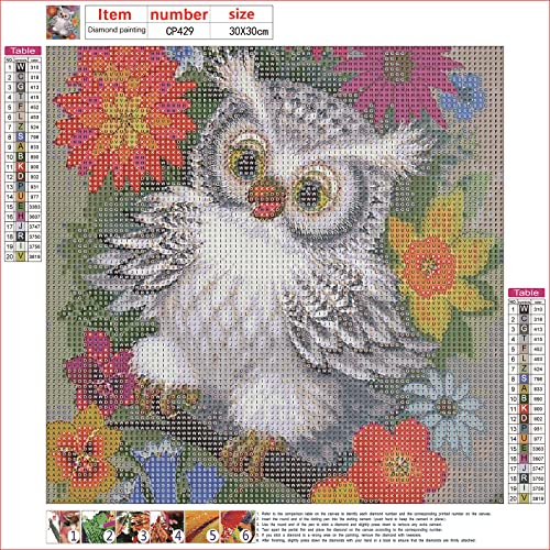 White Owl | Diamond Painting