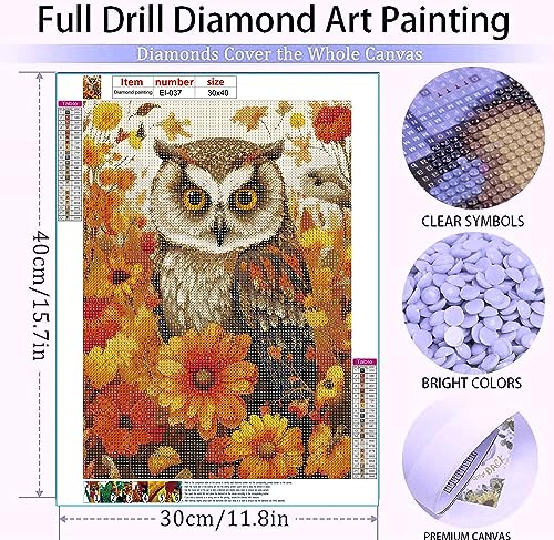 Owl | Diamond Painting