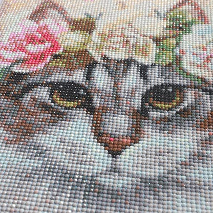Maine Coon Cat | Diamond Painting