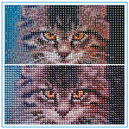 Cat | Diamond Painting