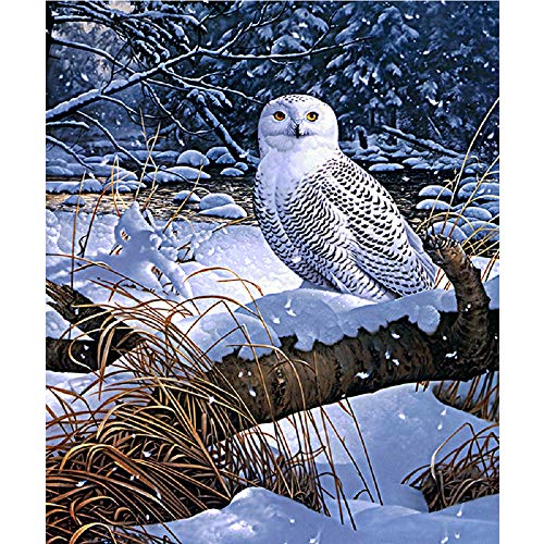 White Owl | Diamond Painting