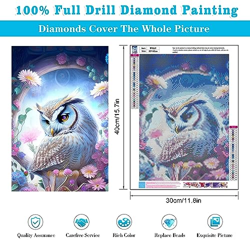 White Owl | Diamond Painting