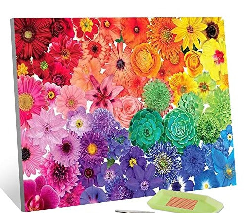 Colorful Flower | Diamond Painting