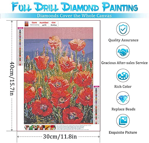 Red Flower | Diamond Painting