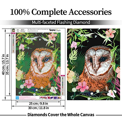 Owl | Diamond Painting