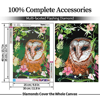 Owl | Diamond Painting