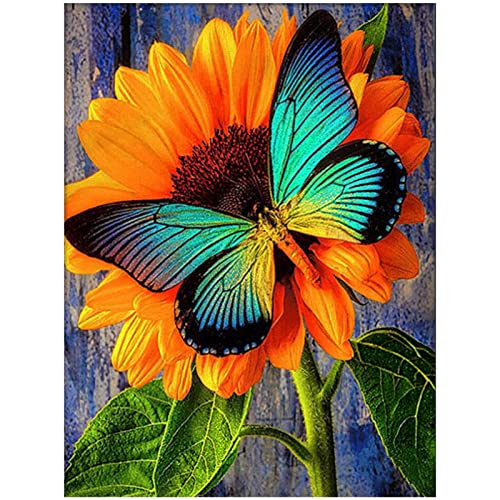 Butterfly | Diamond Painting