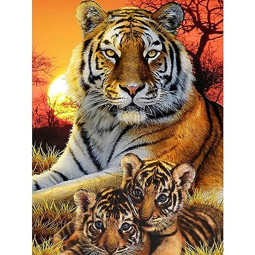 Tiger | Diamond Painting