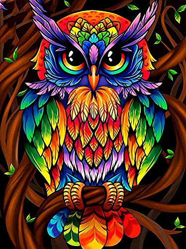 Owl | Diamond Painting