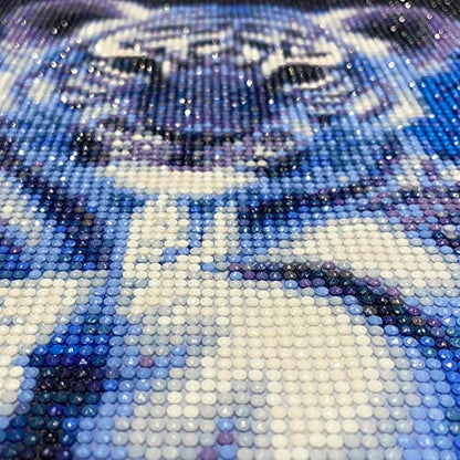 Lion | Diamond Painting