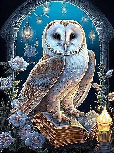 Owl | Diamond Painting