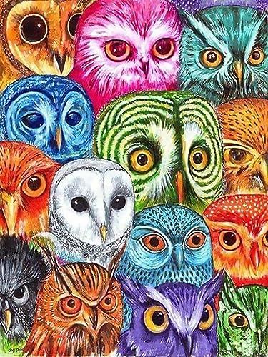 Owl | Diamond Painting