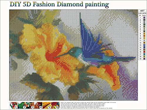 Hummingbird | Diamond Painting