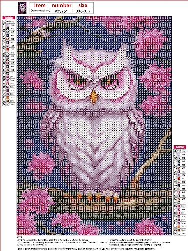 Owl | Diamond Painting