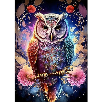 Owl | Diamond Painting
