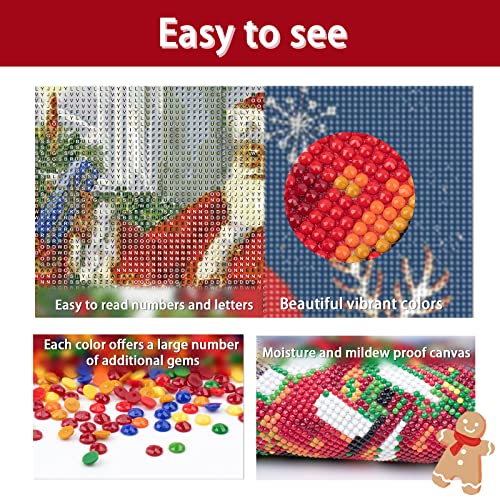 Santa Claus Christmas | Diamond Painting
