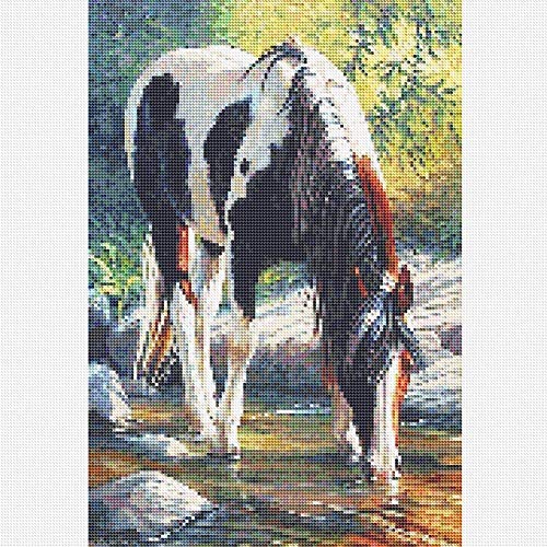 Horse | Diamond Painting