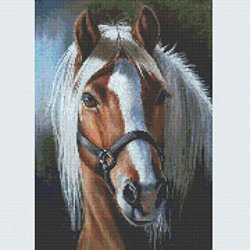 Horse | Diamond Painting