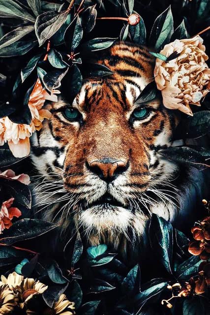 Tiger | Diamond Painting