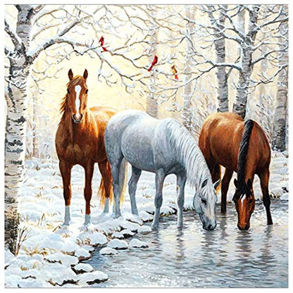 Horse | Diamond Painting