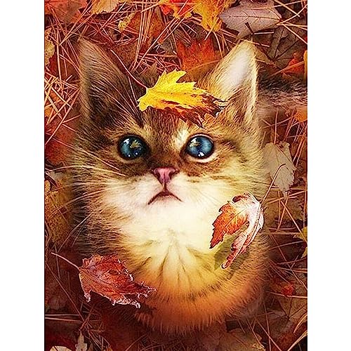 Cat | Diamond Painting