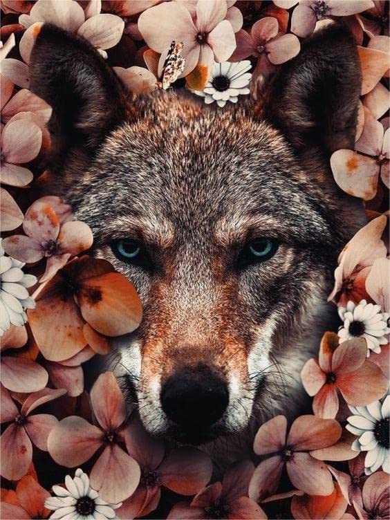 Wolf | Diamond Painting