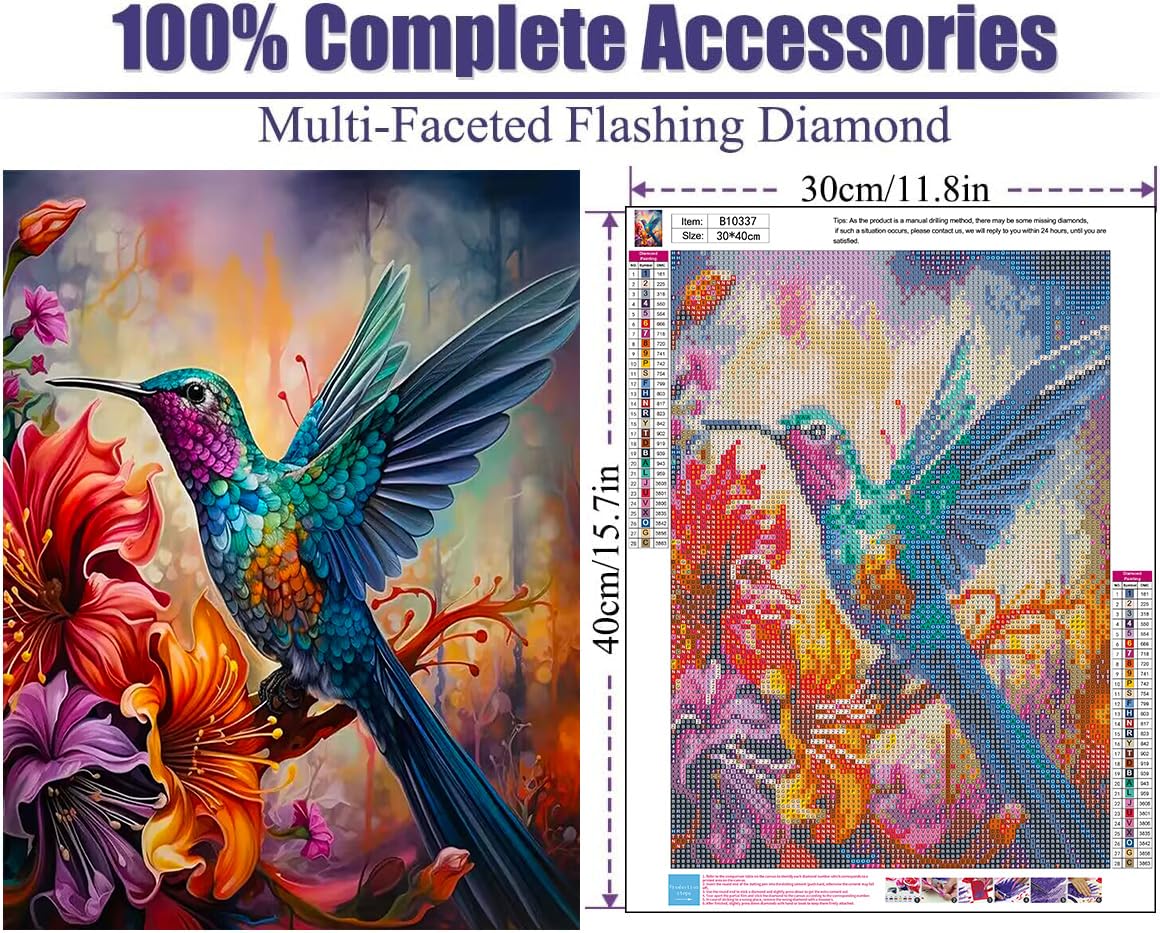 Hummingbird | Diamond Painting